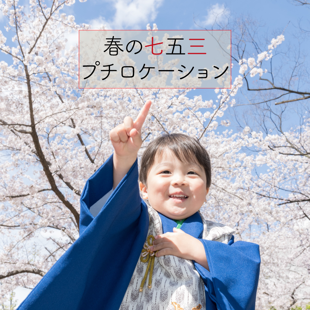 サクラや新緑の下で着物撮影✨春の七五三プチロケーション撮影